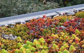the cost of Denny End green roof installation